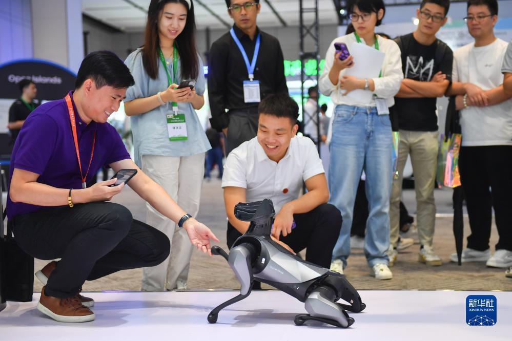 五龙争霸在线下载